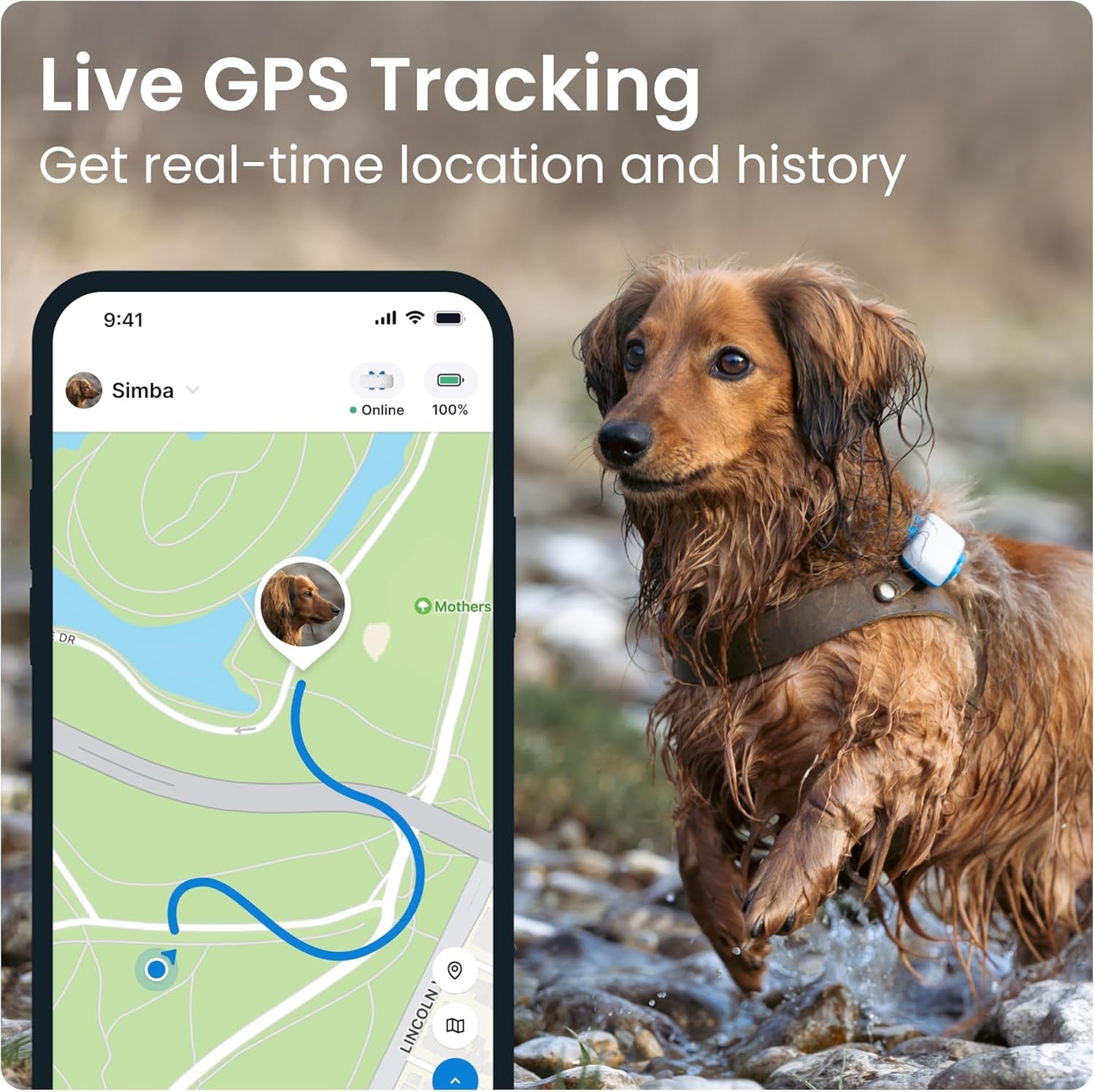 GPS Pet Tracker for Dogs - Waterproof, GPS Location & Smart Pet Activity Tracker, Unlimited Range, Works with Any Collar (White)