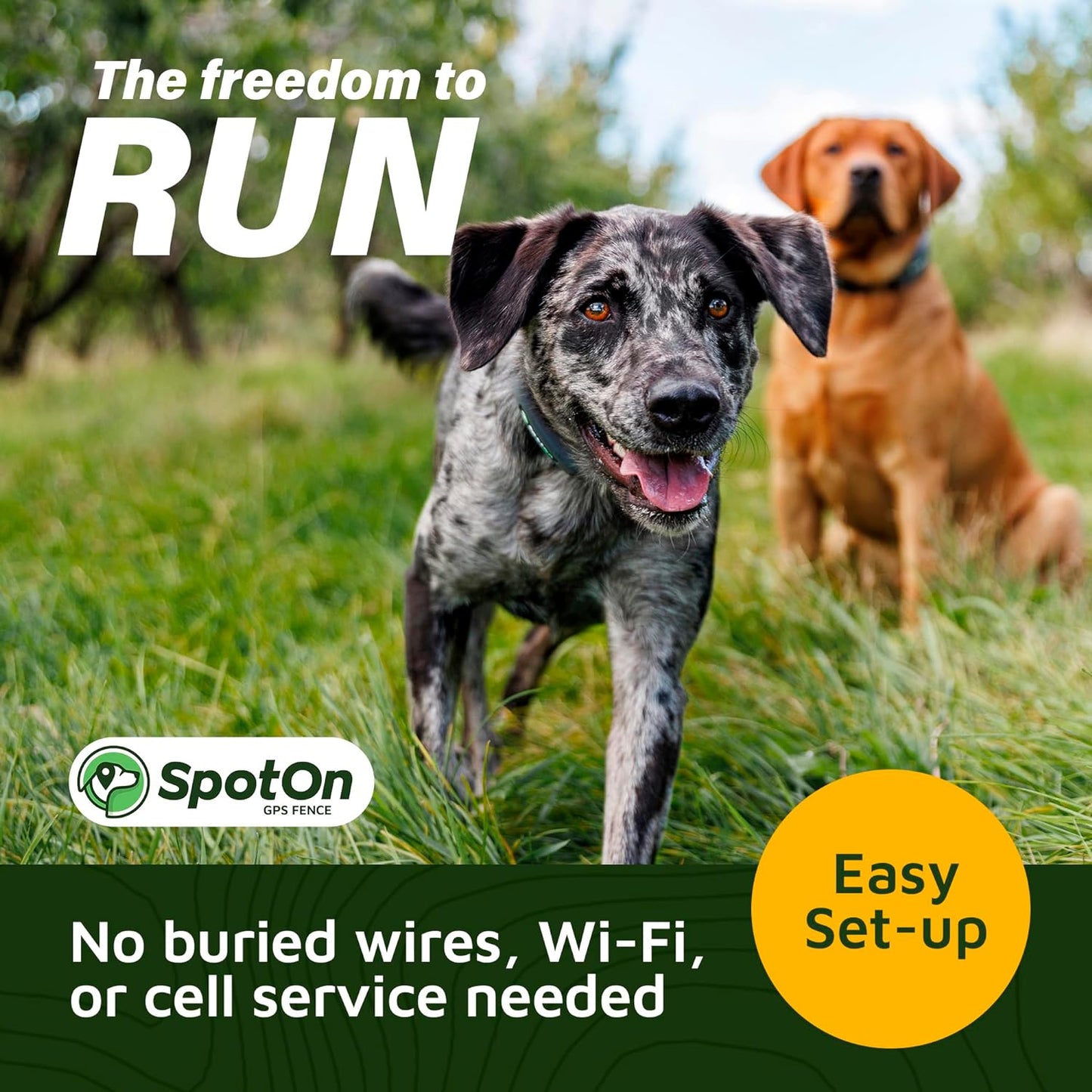 Longer Battery Life,  GPS Dog Fence, App Based Wireless Dog Fence Collar, Waterproof, Accurate & Reliable GPS Dog Fence System, Virtual Dog GPS Tracker for All Terrain Large/All Carriers