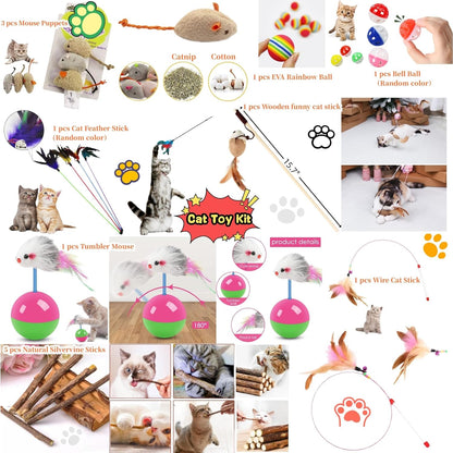 Cat Stuff Cat Starter Kit for Indoor Cats,19 Pieces Set of Kitten Essentials Starter Kit.Includes Cat Litter Box,Toys,Bowls,Grooming Tools and More.Perfect Welcome Home Gift for Your New Kitty